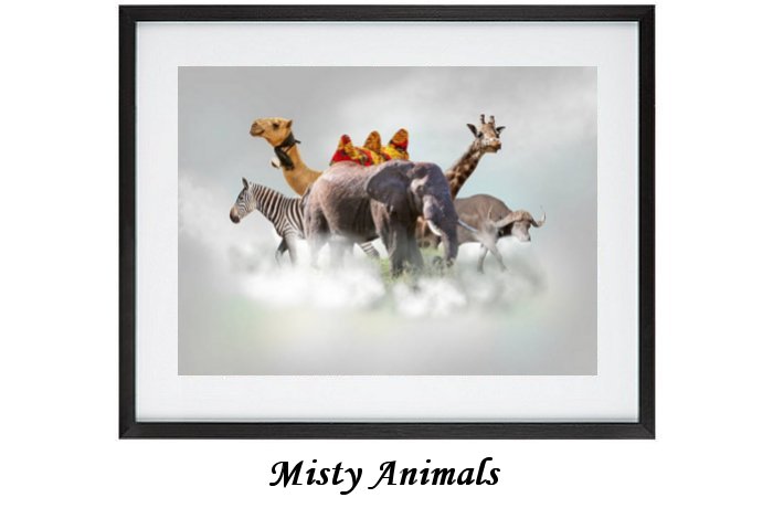 Misty Animals